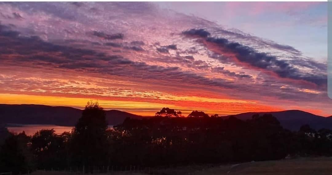 Ruby'S Cottage Farm Stay Port Arthur Exteriör bild