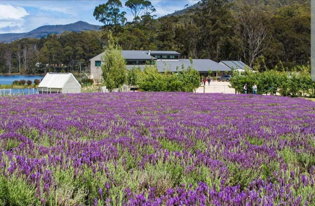 Ruby'S Cottage Farm Stay Port Arthur Exteriör bild