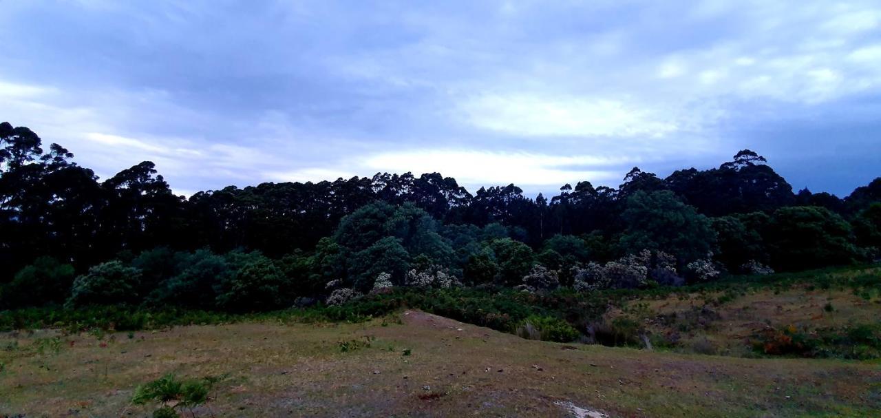 Ruby'S Cottage Farm Stay Port Arthur Exteriör bild