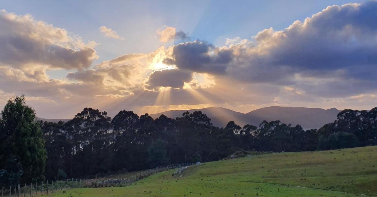 Ruby'S Cottage Farm Stay Port Arthur Exteriör bild