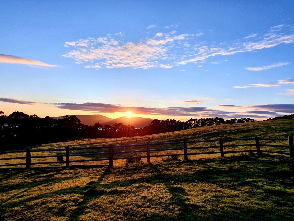 Ruby'S Cottage Farm Stay Port Arthur Exteriör bild