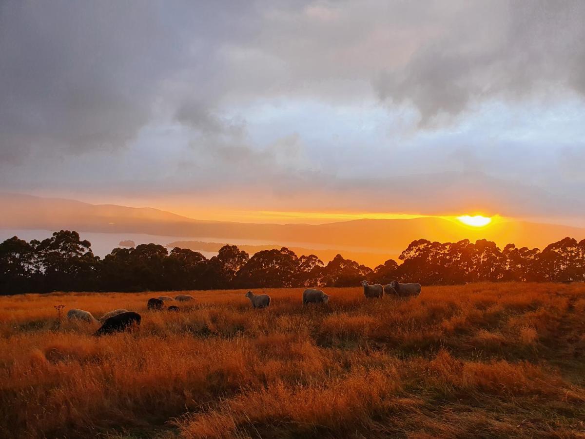 Ruby'S Cottage Farm Stay Port Arthur Exteriör bild