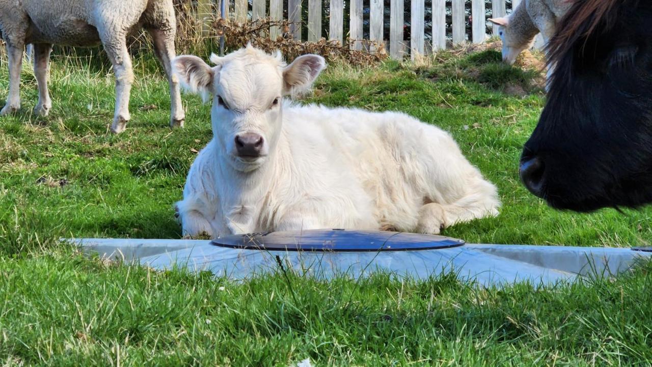 Ruby'S Cottage Farm Stay Port Arthur Exteriör bild