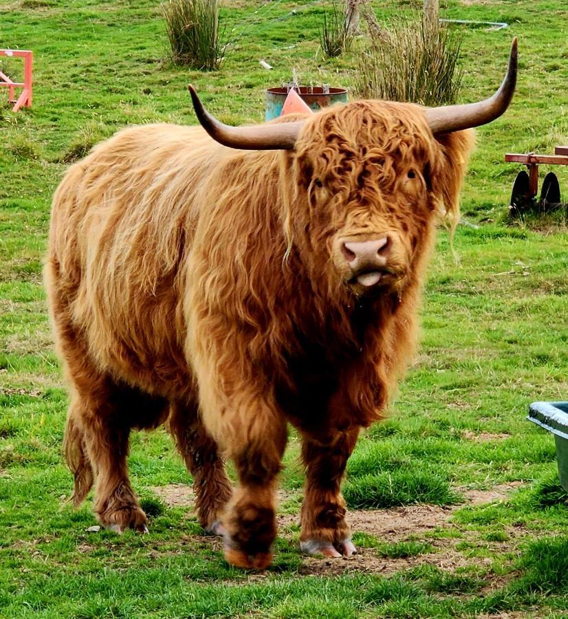 Ruby'S Cottage Farm Stay Port Arthur Exteriör bild