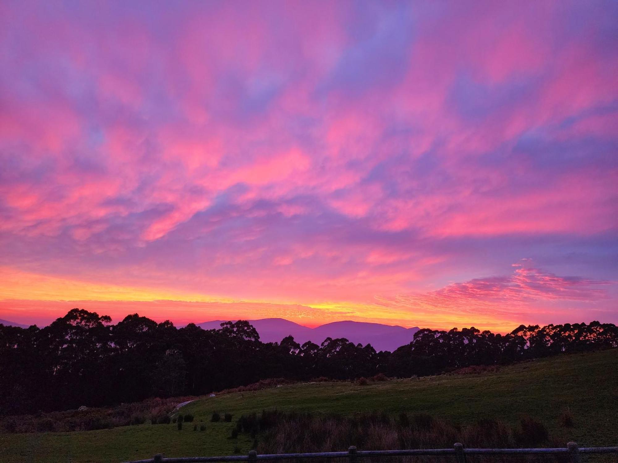 Ruby'S Cottage Farm Stay Port Arthur Exteriör bild